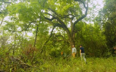 Atlantic Packaging Featured in Post and Courier Editorial for Conservation Leadership