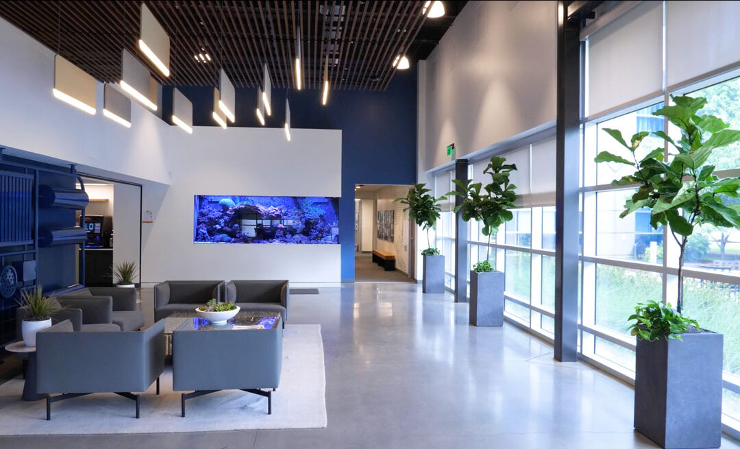 Forbes Feature: Our Commitment to Nature in the Workplace