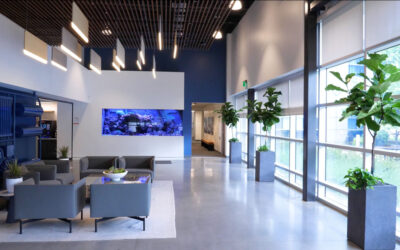 Forbes Feature: Our Commitment to Nature in the Workplace