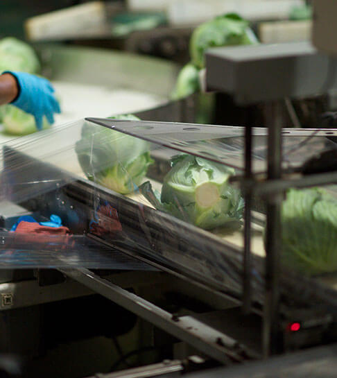 PRODUCE-automatic-shrink-wrapper-farming-produce-top