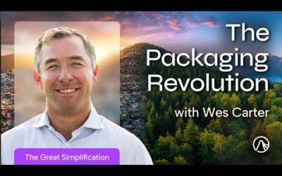 Wes Carter on The Great Simplification Podcast with Nate Hagens